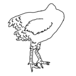 mike the headless chicken