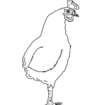 roosevelts rooster